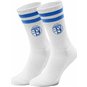 TSV Blau-Weiß Gröditz Socken weiß/blau