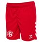 hummel hmlCORE 2.0 SHORTS WOMAN