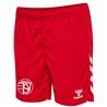 hummel hmlCORE 2.0 SHORTS WOMAN