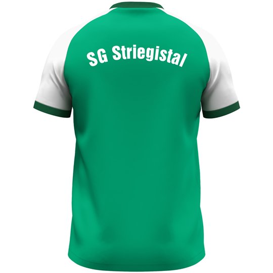 SG Striegistal Trikot Kinder grün