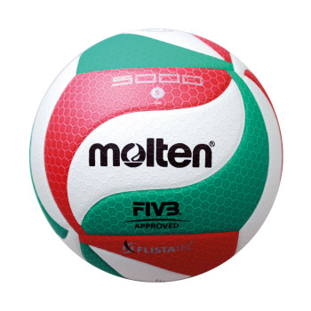 MOLTEN V5M5000 Volleyball
