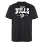 Dresden Bulls T-Shirt Herren