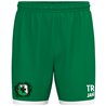 TSV Langhennersdorf Short Unisex