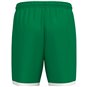 TSV Langhennersdorf Short Unisex