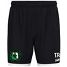 TSV Langhennersdorf Short Kinder