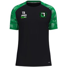 TSV Langhennersdorf T-Shirt Unisex