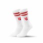 BC Dresden Socken mit Logo