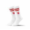 BC Dresden Socken mit Logo