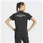 TSV Großwaltersdorf Polo Damen