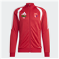 Adidas TIRO26L TR  JKT MEN