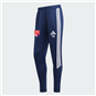 Adidas TIRO26L PNTR MEN