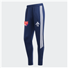 TSV Großwaltersdorf Training Pant Kinder