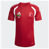 TSV Großwaltersdorf Jersey Kinder