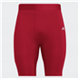 ADIDAS Short Tight Kinder