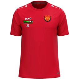 SG Motor Trachenberge Trainingsshirt Herren