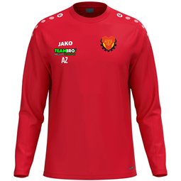 SG Motor Trachenberge Trainingspullover Unisex