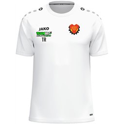 SG Motor Trachenberge Trainingsshirt Trainer