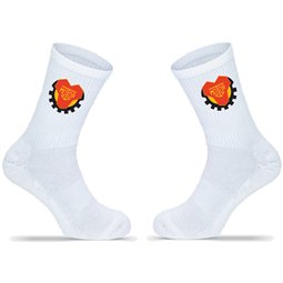 SG Motor Trachenberge Socken