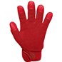 SG Motor Trachenberge Handschuhe Fleece