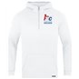 FSC Dresden Hoodie Herren
