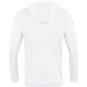 FSC Dresden Hoodie Herren