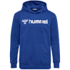 SSV Wildenstein Logo Hoodie Kinder blau