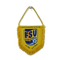 FSV Dippoldiswalde Wimpel 5-eckig 