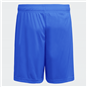 SV Germania Mittweida Short Unisex