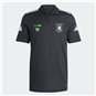 SV Germania Mittweida Polo Kinder