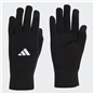 SV Germania Mittweida Handschuhe schwarz