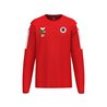 DSC Sweatshirt Kinder