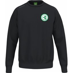 Dresdner SV Freizeit Sweat Herren
