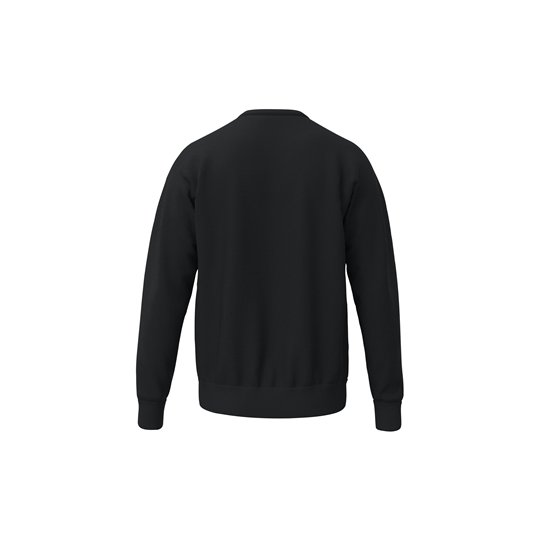 Dresdner SV Freizeit Sweat Kinder