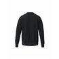 Dresdner SV Freizeit Sweat Kinder