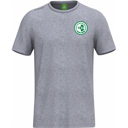 Dresdner SV Freizeit T-Shirt Herren