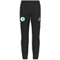 Dresdner SV Trainingshose Herren