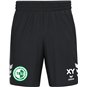 Dresdner SV Shorts Herren
