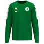Dresdner SV Sweatshirt Herren