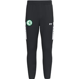Dresdner SV Trainingshose Herren