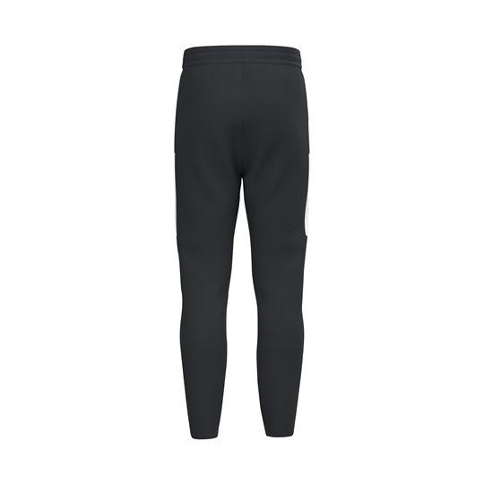 Dresdner SV Trainingshose Herren