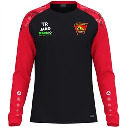 ESV Lok Wülknitz Longsleeve Unisex schwarz/rot