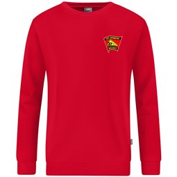 ESV Lok Wülknitz Pullover Unisex