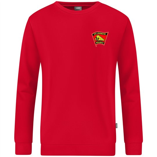 ESV Lok Wülknitz Pullover Unisex