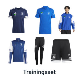 SV Germania Mittweida Training & Präsentation Großfeld