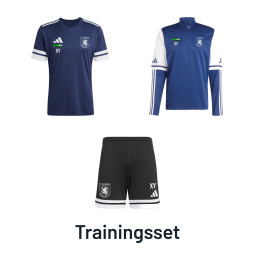 SV Germania Mittweida Training komplett Großfeld