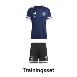SV Germania Mittweida Training light Kleinfeld