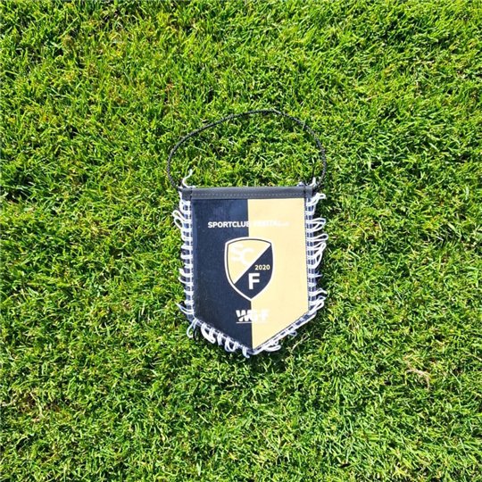 SC Freital Wimpel klein