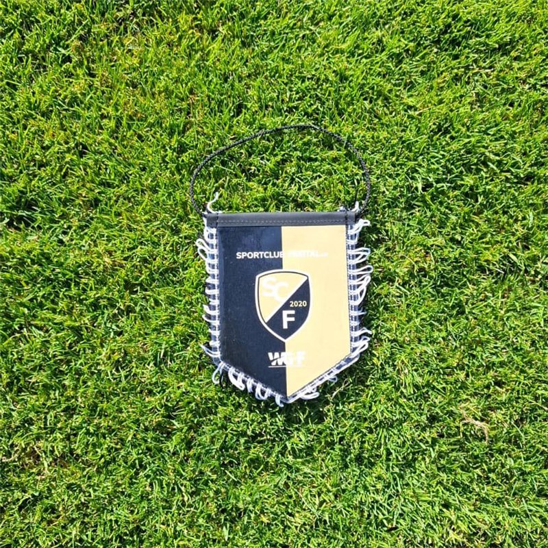 SC Freital Wimpel klein
