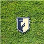 SC Freital Wimpel klein
