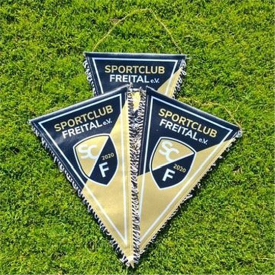 SC Freital Wimpel groß